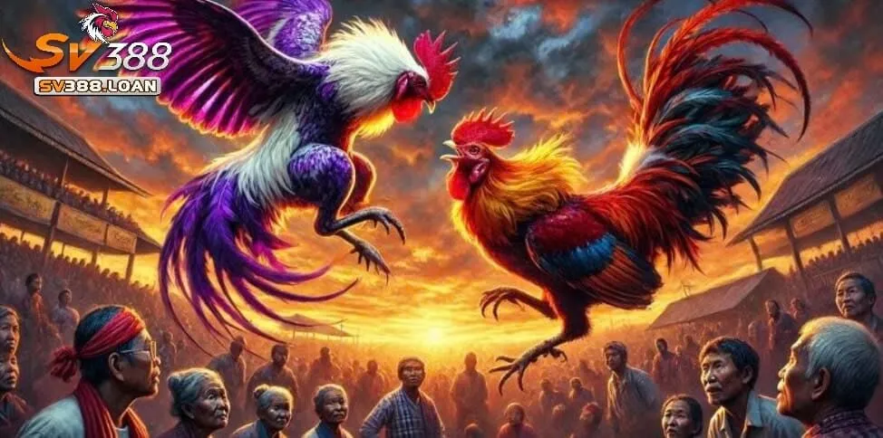 Đặc điểm cơ bản của sản phẩm Đá Gà Sv388