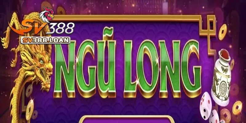 Ngũ Long luôn nổi tiếng là một trò chơi có cách đặt cược đơn giản