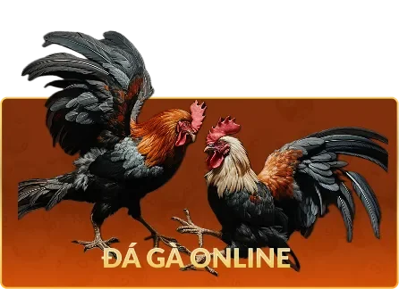 TRANG CHỦ 27 gtbig 3